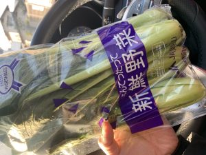 冬の葉野菜の代表格【小松菜の栄養】